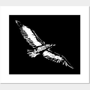 Seagull Flying Posters and Art